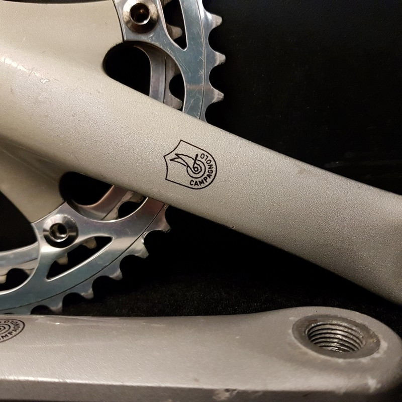 Platos y bielas CAMPAGNOLO ATHENA" 172.5 mm (Ref 669)