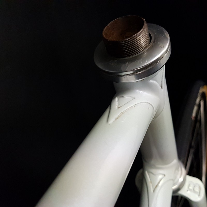 NADDEO 1750 gr" frame Size 56