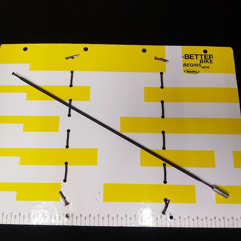 Raggi MAVIC KSYRIUM SSC SL" 301 mm