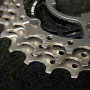 copy of Pignone ruota libera CAMPAGNOLO SR 50" 15d (Rif 16)