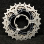 copy of Pignone ruota libera CAMPAGNOLO SR 50" 15d (Rif 16)