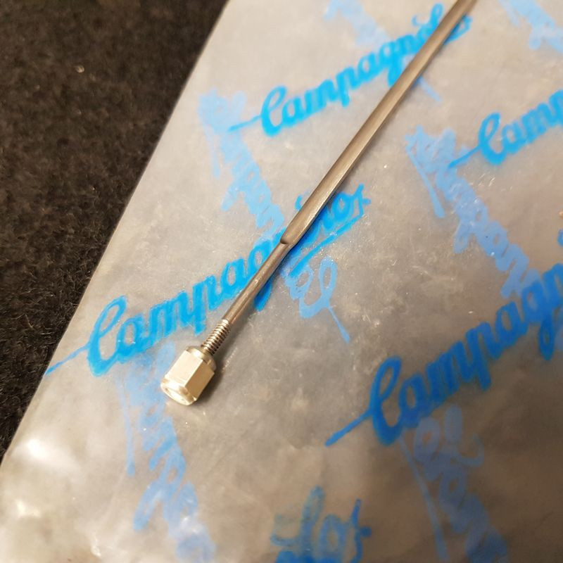 Campagnolo Vento 284 mm spoke