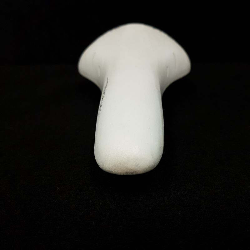 Selle "FIZIK ARIONE R3" (Ref 591)